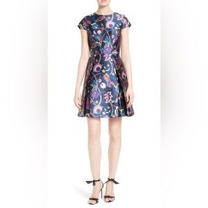 Ted Baker London Fluxum Skater Dress